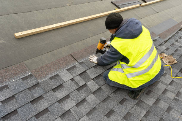 Best Roof Gutter Cleaning  in New Franklin, OH